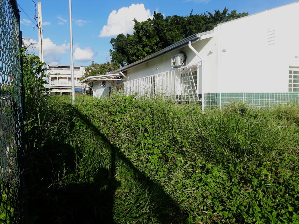 201938_Isac reivindica manutenção no entorno da UBS do Planalto do Sol.jpg